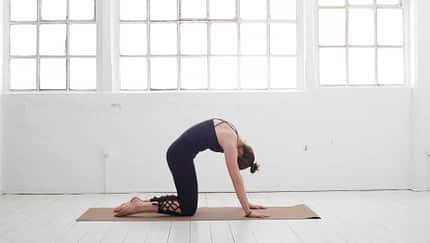 Yoga für den Rücken