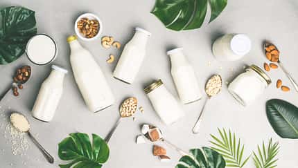 Dairy free milk substitute drinks and ingredients