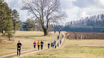 Alb-Gold Winterlauf-Cup 2020, Lauf 4, Finale am 07. 03. 2020