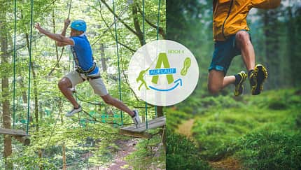 Auelauf durch den Sachsenwald: Hoch 4
