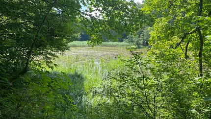 ... und durch Wälder mit kleinen Seen.