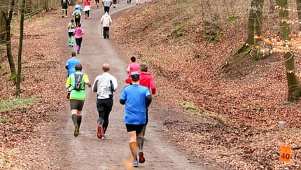 Bis zu 999 Marathonläufer starten im Königsforst
