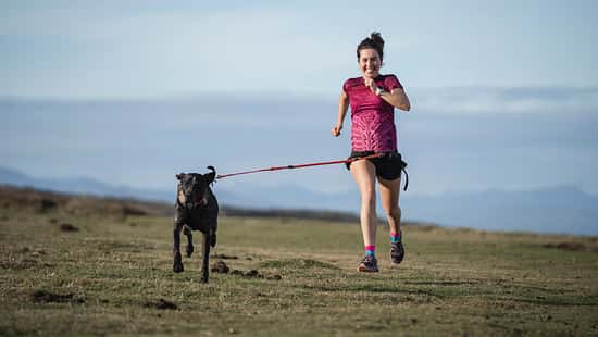 Canicross: Läuferin mit Hund