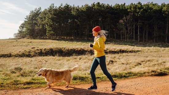 Eine Läuferin joggt entspannt mit ihrem Hund durch eine schöne Landschaft mit Feldern und Wald.