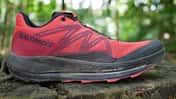 Salomon Pulsar Trail