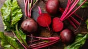 Rote Bete frisch vom Feld