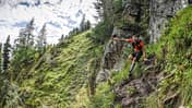 Transalpine Run