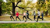 Joggen vs. Laufen – die kleinen Unterschiede. Eine Laufgruppe in einem Park.