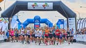 Palma Marathon Mallorca 2023