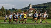 Hallwilerseelauf Beinwil am See 2023