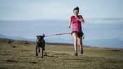 Canicross: Läuferin mit Hund