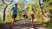Drei schlanke Läuferinnen und Läufer beim Training in der Natur