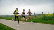 Marathon Deutsche Weinstraße Bockenheim 2024
