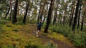 Rureifel Trail 2024