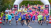 Navarino Challenge 2024