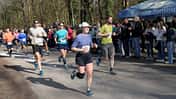 Bienwald-Marathon Kandel 2025