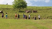 Swiss Trailrun Pilatus Kriens 2025