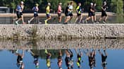 Metropolmarathon Fürth-Nürnberg 2025