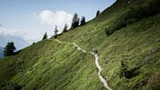 Traillaufen in Chamonix