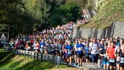 Wachau-Marathon 2019