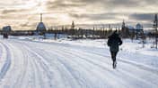 Polar Bear-Marathon Churchill 2019