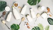 Dairy free milk substitute drinks and ingredients