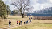 Alb-Gold Winterlauf-Cup 2020, Lauf 4, Finale am 07. 03. 2020