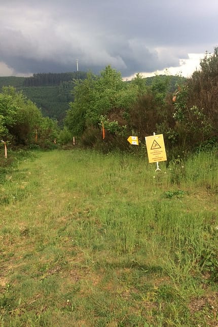 Die Strecke beim Sauerland Trailrun Die Strecke beim Sauerland Trailrun