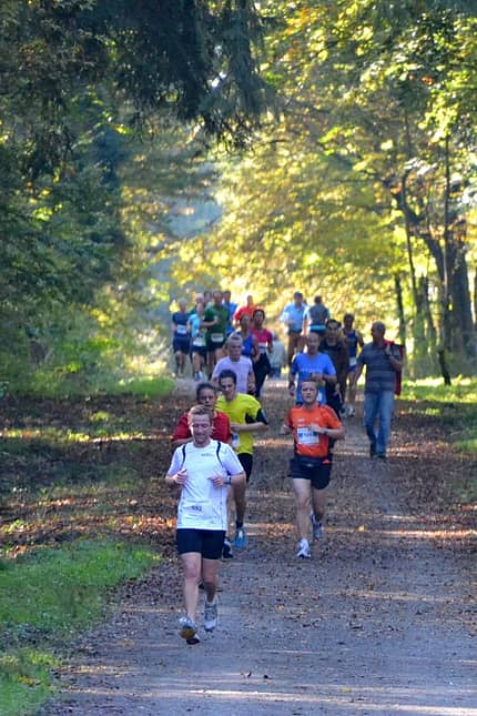 Der Refrather Herbstlauf führt durch den Königsforst. Der Refrather Herbstlauf führt durch den Königsforst.